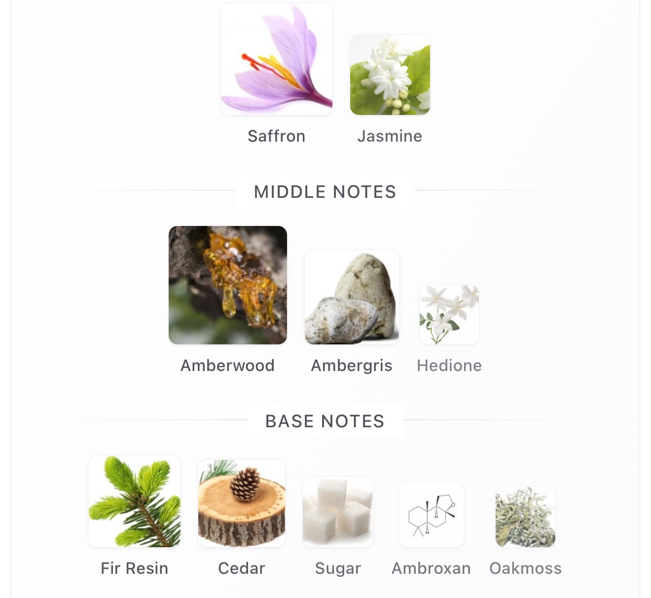 Fragrance notes: saffron, jasmine, amberwood, ambergris, hedione, fir resin, cedar, sugar, ambroxan, oakmoss